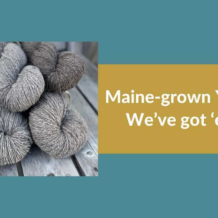 Maine-Grown Yarns: We've got 'em!