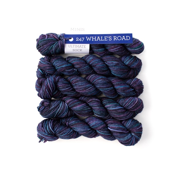 Ultimate Sock Minis by Malabrigo