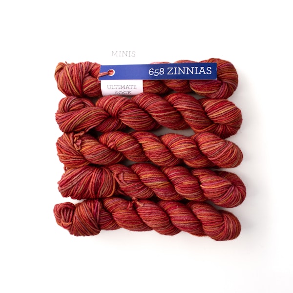 Ultimate Sock Minis by Malabrigo