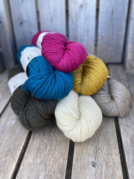 Rambouillet by Juniper Moon Farm