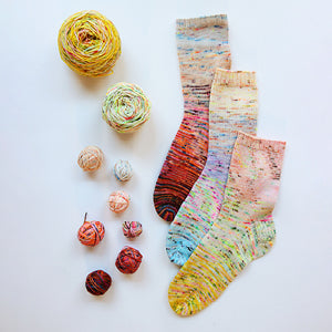 The Sock Project: Colorful, Cool Socks to Knit and Show Off by Summer Lee