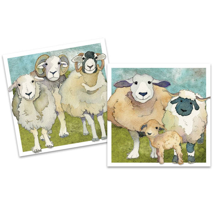 Emma Ball Felted Sheep Mini Cards