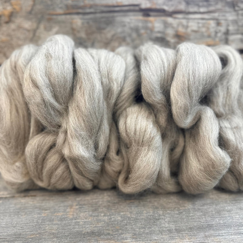 Natural Spinning Fiber -- from Sheepshed at Mountain View Farm