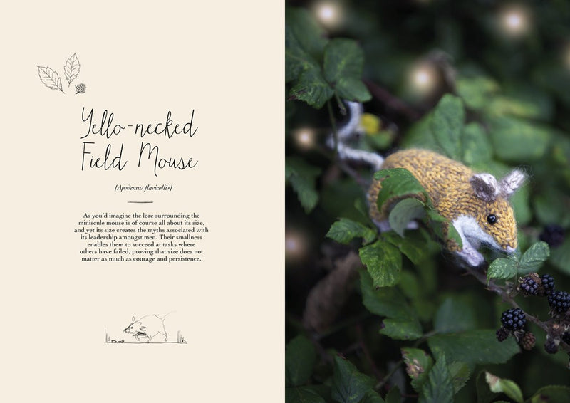 Magical Woodland Knits: Knitting patterns for 12 wonderfully lifelike animals by Claire Garland