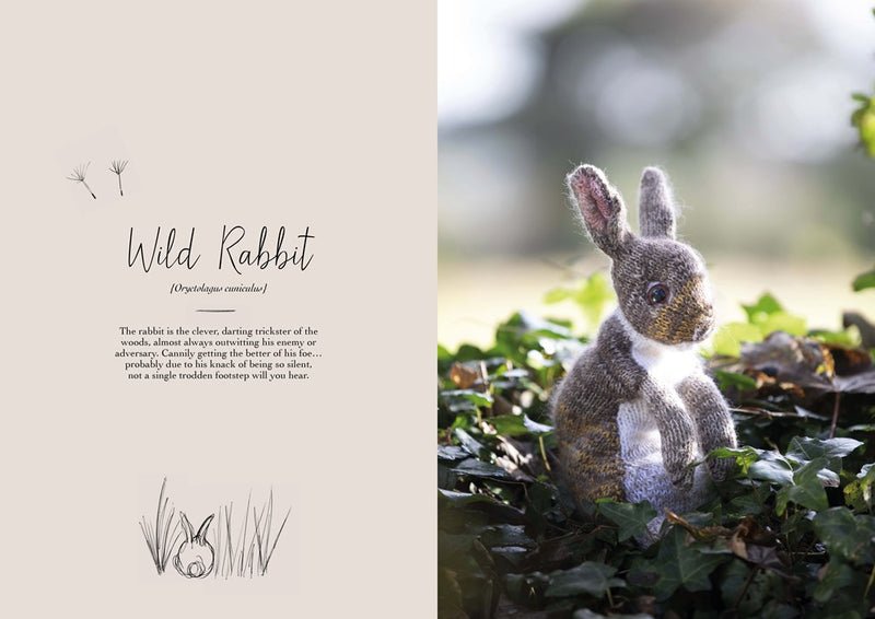 Magical Woodland Knits: Knitting patterns for 12 wonderfully lifelike animals by Claire Garland