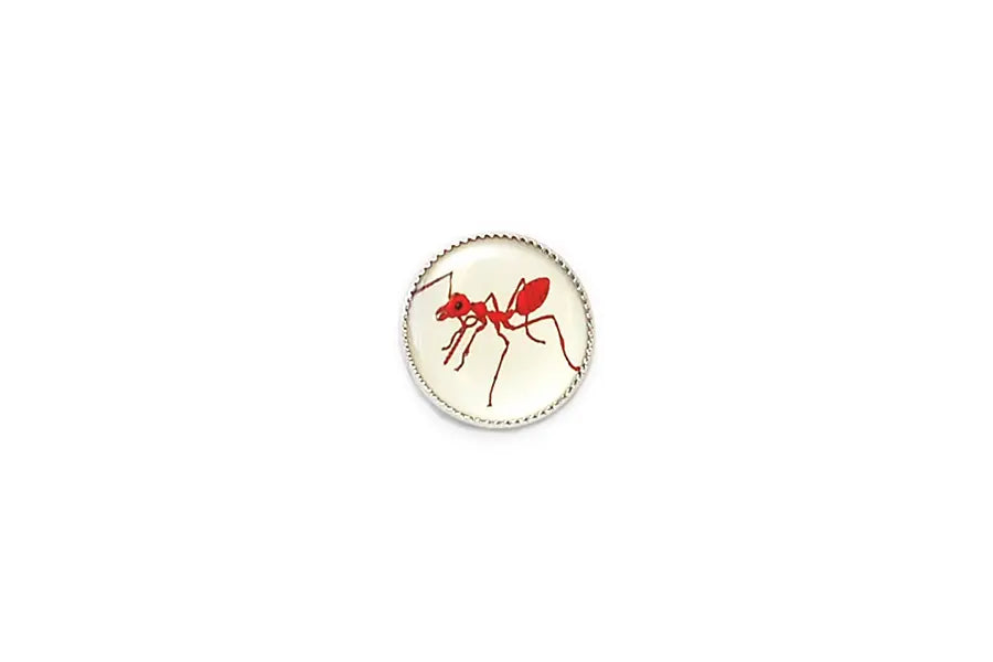 BD0149A18 Picture - Insect - Red Ant - Round Shank 18MM