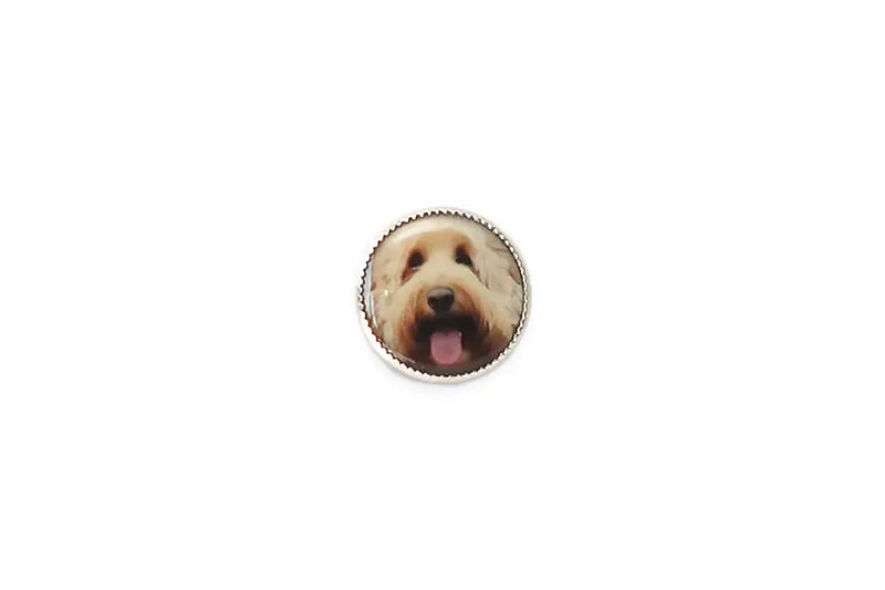 BD0312A18 Picture - Hank the Labradoodle - Round Shank 18MM