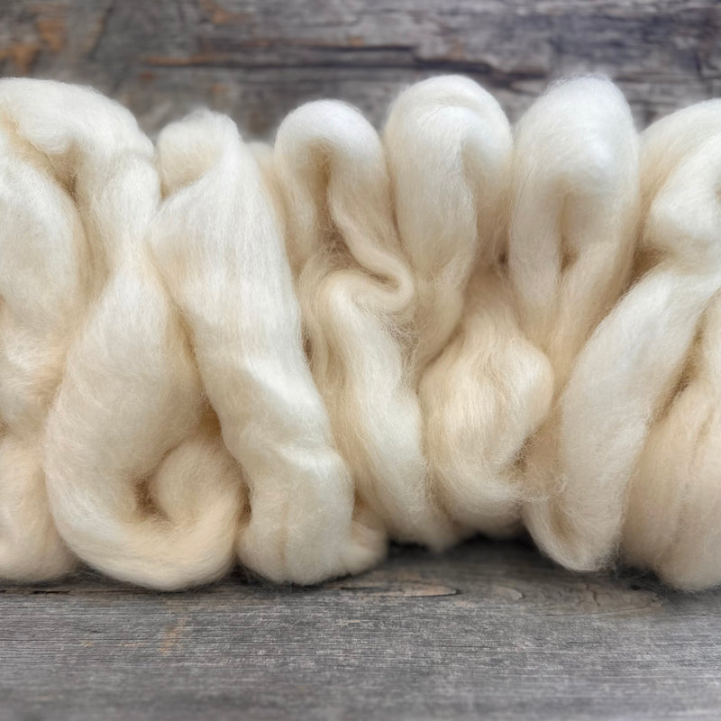 Natural Spinning Fiber -- from Sheepshed at Mountain View Farm
