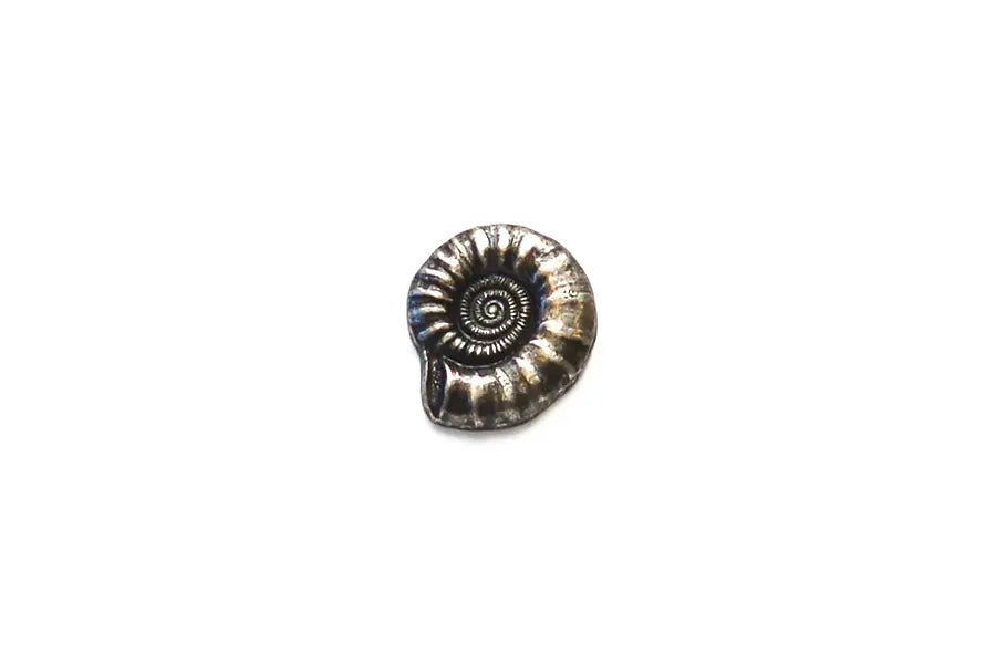 BR0867M20 Metal Antique Silver Nautilus Shell Shank 20MM