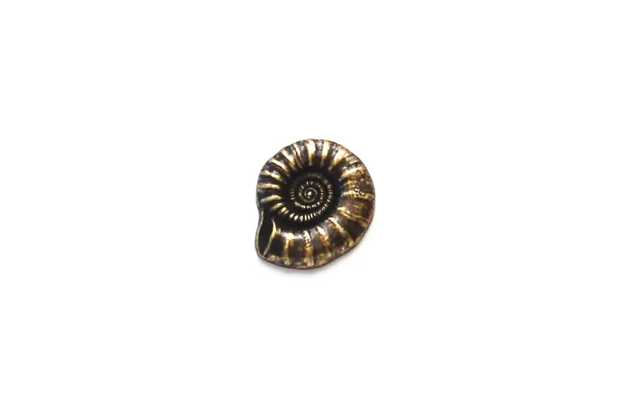 BR0869M20 Metal Antique Brass Nautilus Shell Shank 20MM
