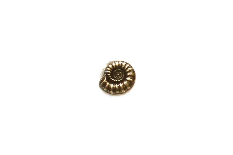 BR0870M15 Metal Antique Brass Nautilus Shell Shank 15MM