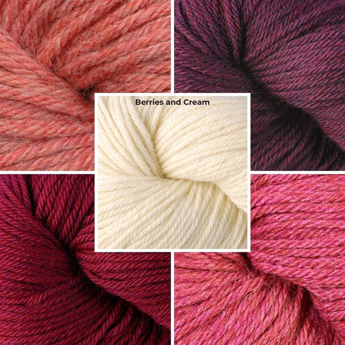 Berroco Mystery Knit Along Blanket Kits MKAL