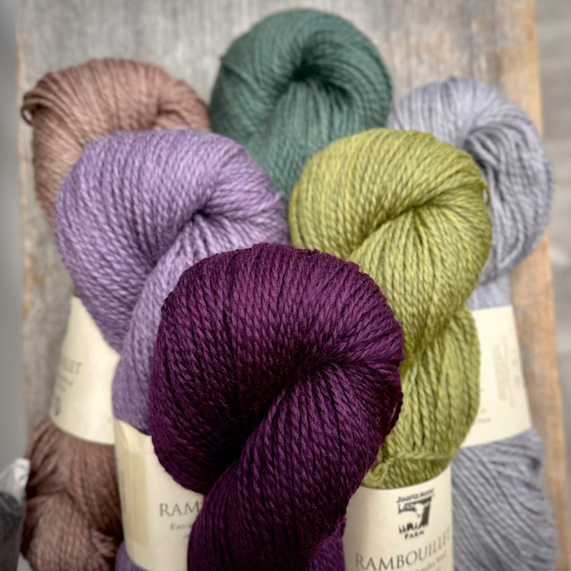 Rambouillet by Juniper Moon Farm
