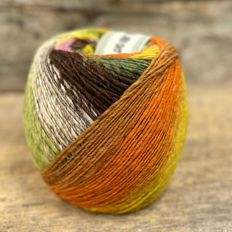 Saiun von Noro Yarns