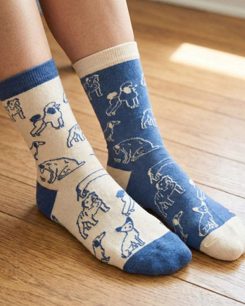 Socks by Friday Sock Co.