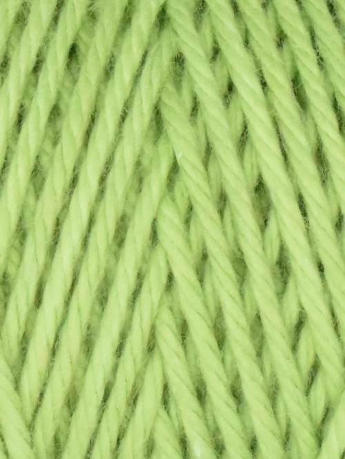 Coastal Cotton Yarn by Queensland