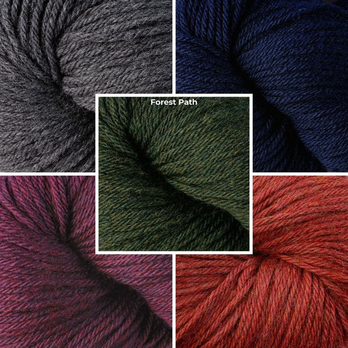 Berroco Mystery Knit Along Blanket Kits MKAL