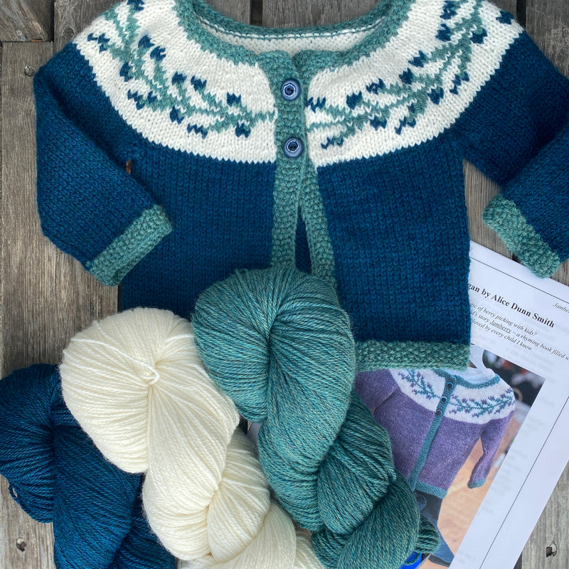 Jamberry Cardigan Kit-- Birch Tree Knits