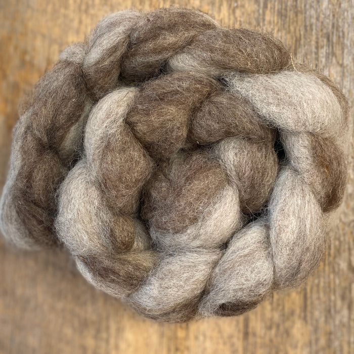Stacey's Spinning Haven - Maine Romney Wool Roving - Natural Colors