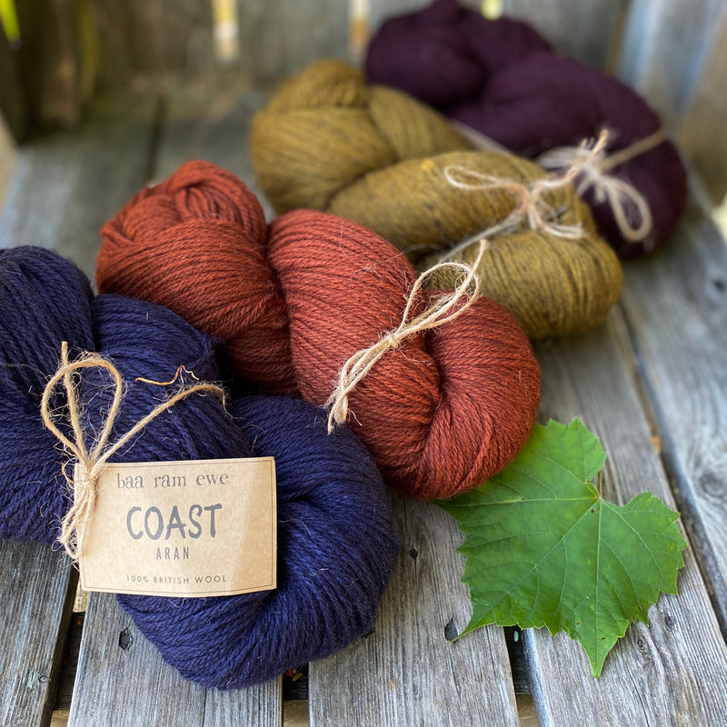 Coast Aran by Baa Ram Ewe