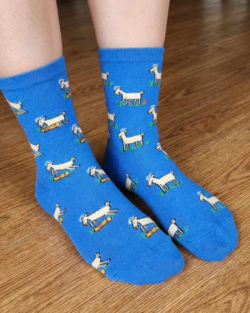 Socks by Friday Sock Co.