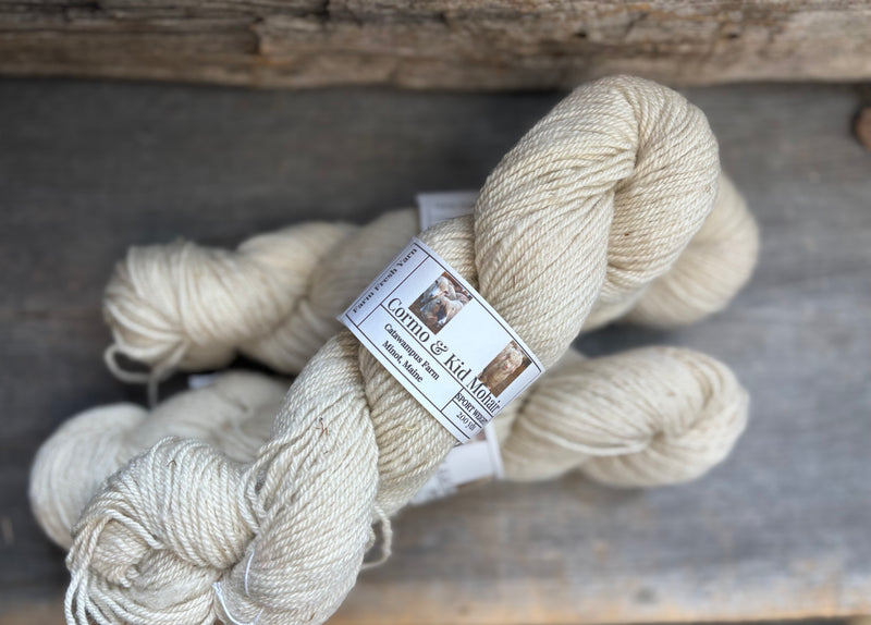 Cormo Mohair Sport by Catawampus Farm