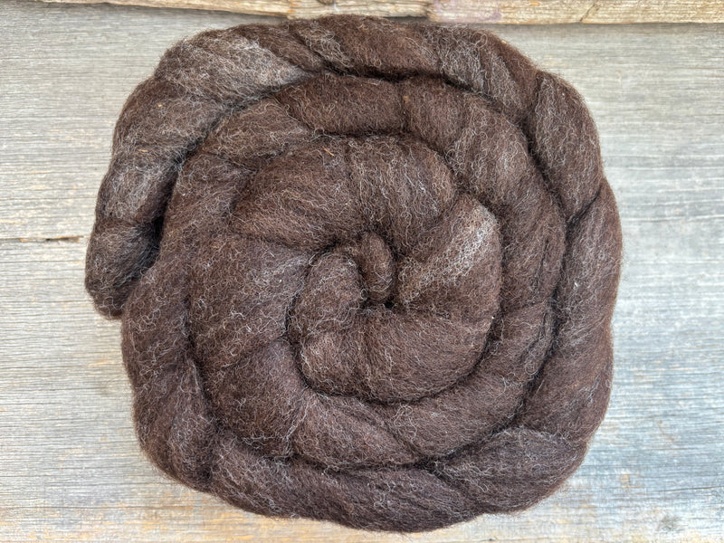 Stacey's Spinning Haven - Maine Jacob Wool Roving - Brown