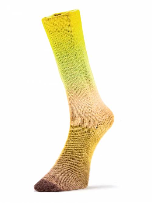 Harmonious Socks by Laines du Nord