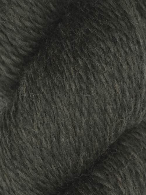 Rambouillet by Juniper Moon Farm