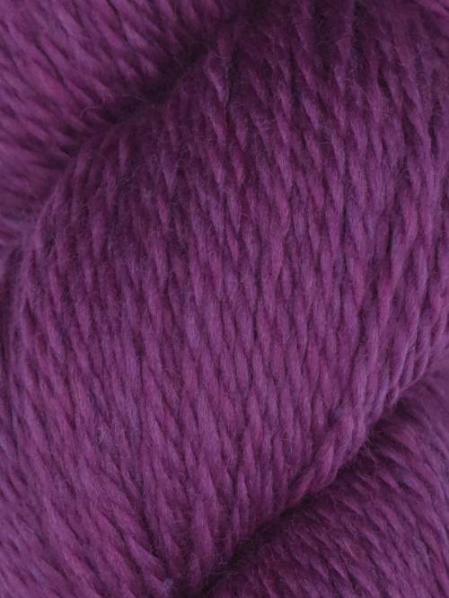 Rambouillet by Juniper Moon Farm