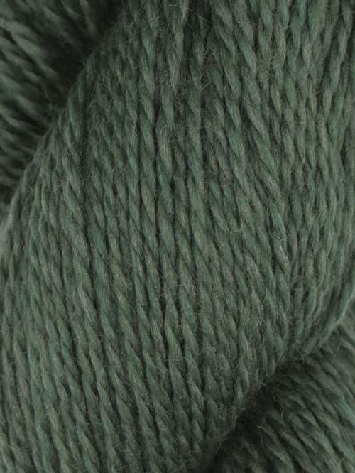 Rambouillet by Juniper Moon Farm