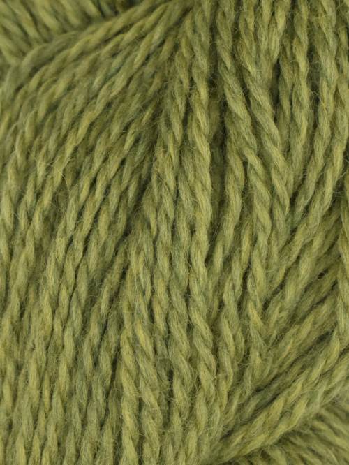 Rambouillet by Juniper Moon Farm