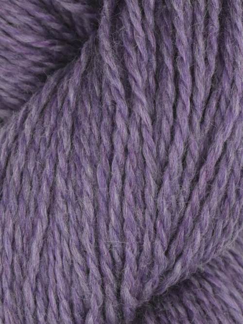 Rambouillet by Juniper Moon Farm
