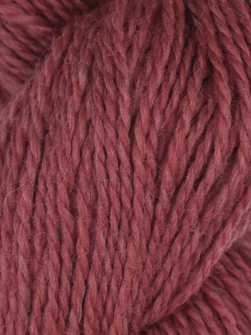 Rambouillet by Juniper Moon Farm