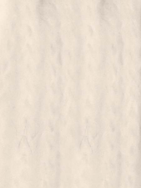 Rozena by Laines du Nord