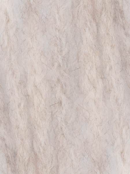 Rozena von Laines du Nord