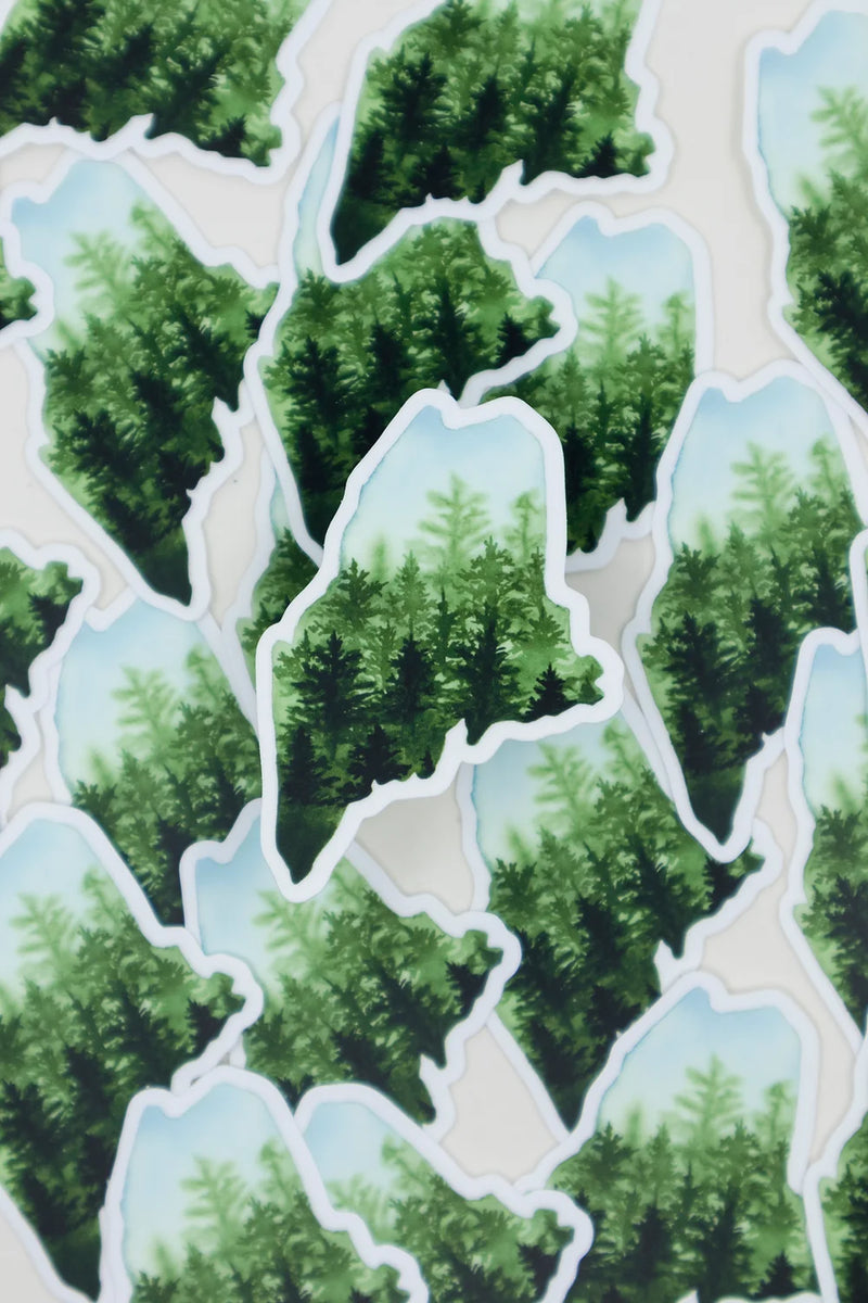Maine Pines Sticker
