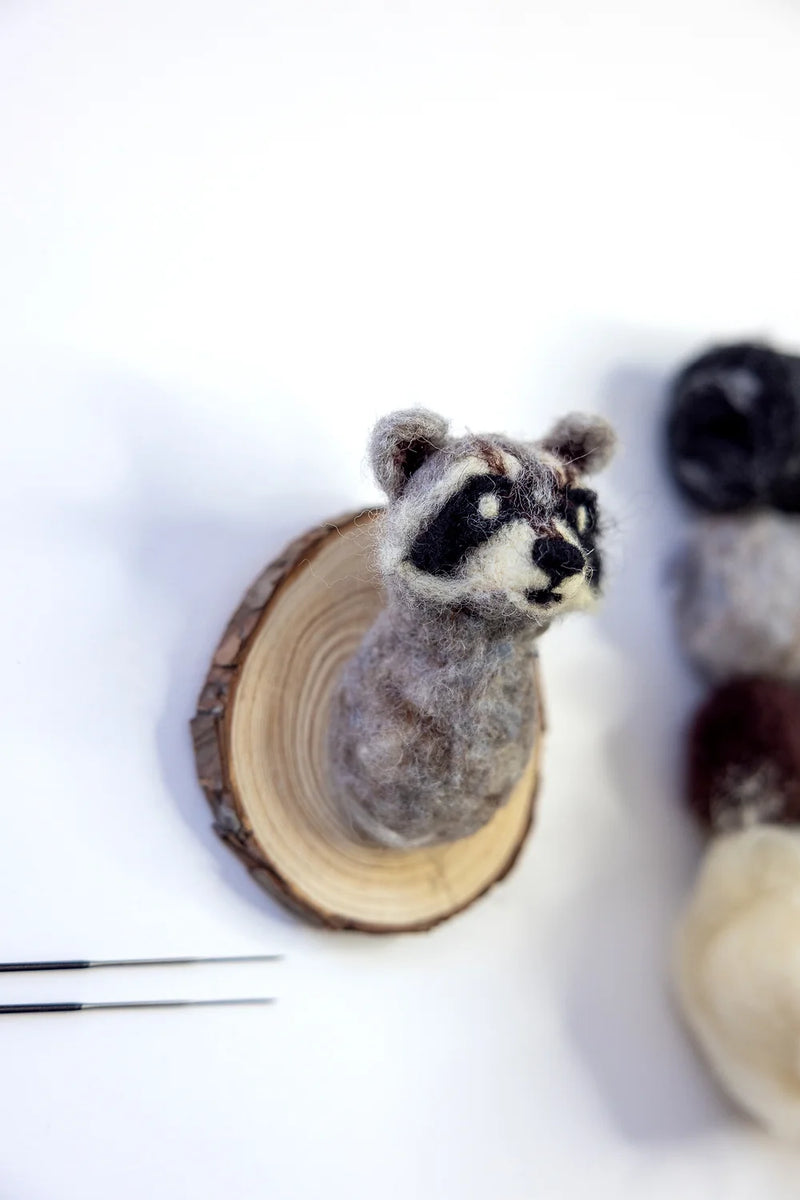 Waschbär gefilzt Taxidermie - Nadelfilz-Set