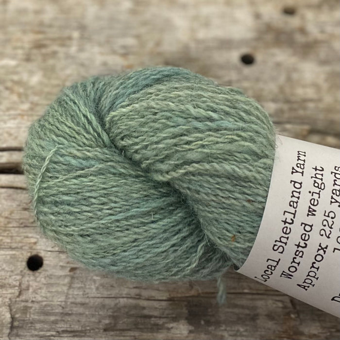 Local Shetland by Forage Color